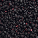 Arandano Deshidratado 1 kg