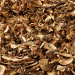 Callampa Deshidratada 1 kg