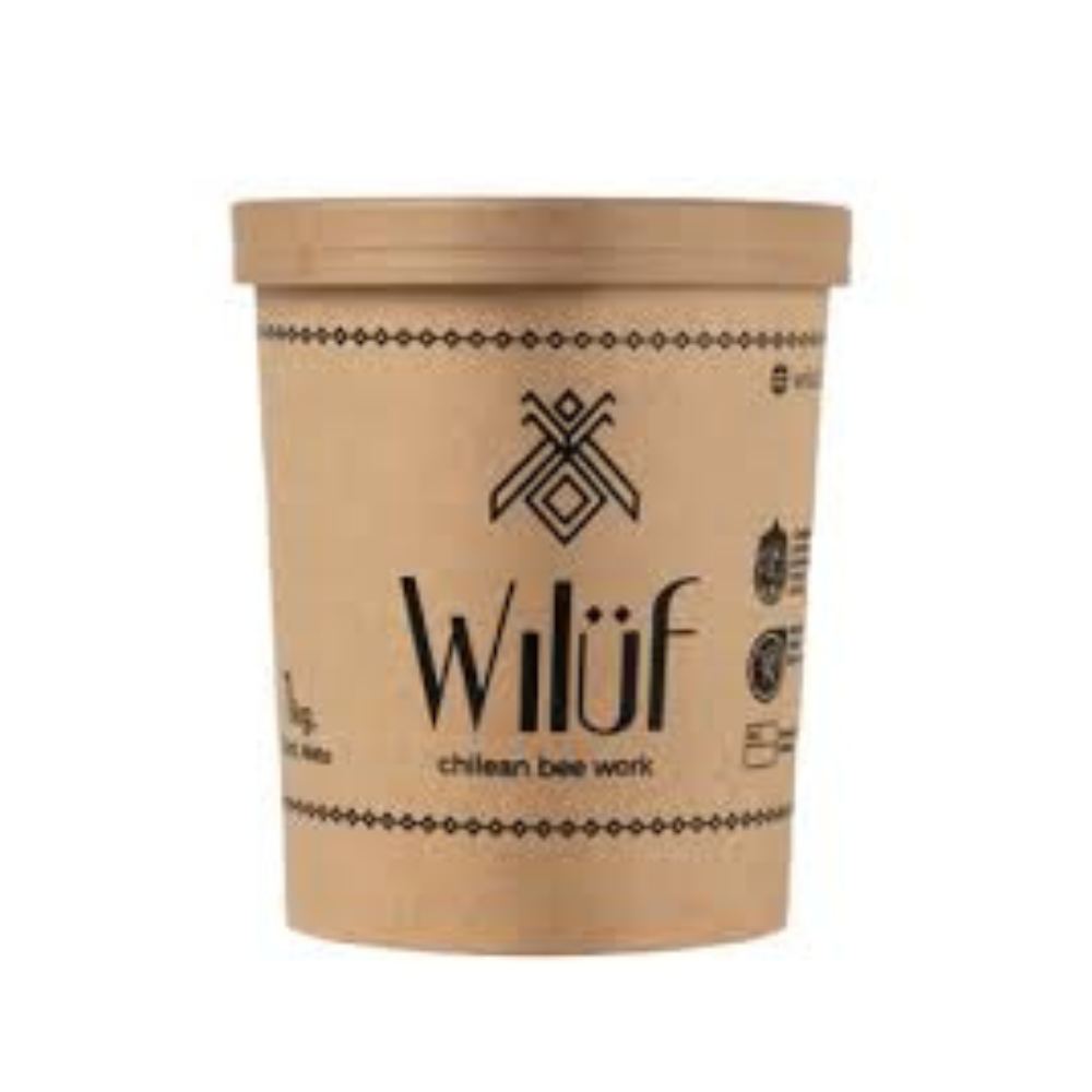 miel Miel de Ulmo 1 Kilo - Imagen 1